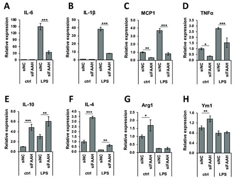 Expression Of Pro And Anti Inflammatory Markers In Faah Knockdown