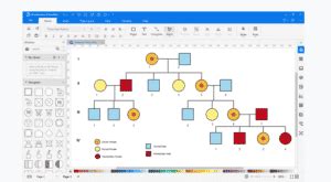 Los Mejores Programas Para Hacer Genogramas Online Gratis En