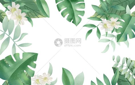 热带植物花卉插画图片下载 正版图片400109437 摄图网