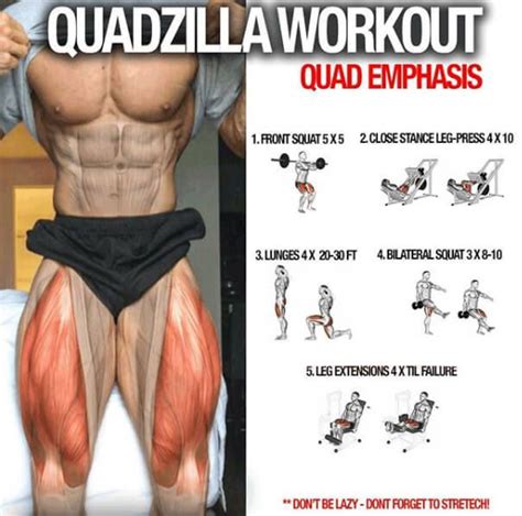 Quadzilla Quad Emphasis Training Healthy Workouts Legs Gym Workout