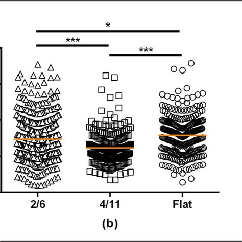 quantification  cell area  cell perimeter   orientation