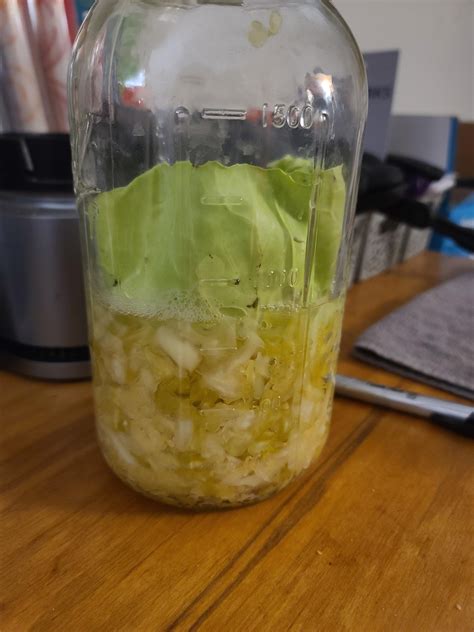 First time sauerkraut (question in comments) : r/fermentation