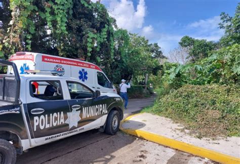 Localizan cuerpo de mujer en lote baldío de Mariano Escobedo Formato