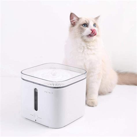 PetKit EverSweet GEN 2S Smart Drinking Fountain White 2L | Pet Master ...