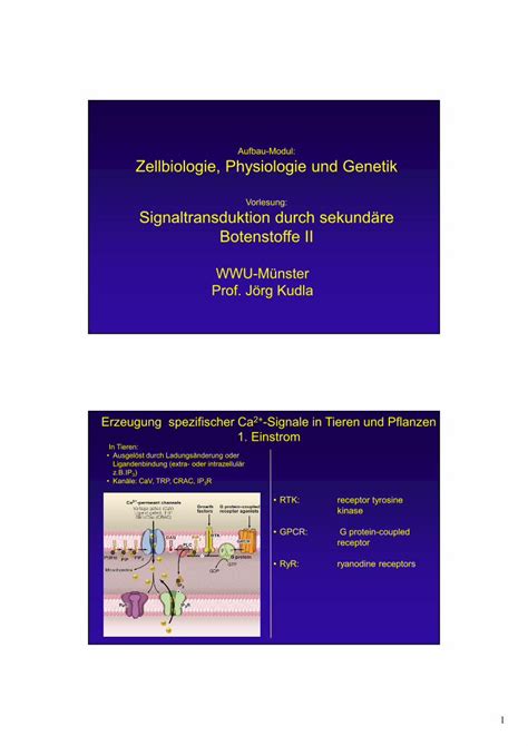 PDF Aufbau Modul Zellbiologie Physiologie Und Genetik 1 WWU