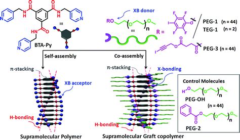 A Ph Responsive Graftable Supramolecular Polymer With Tailorable