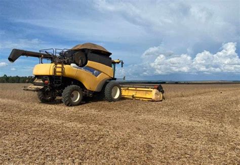 Apesar do atraso na colheita produtores de soja estão otimistas a