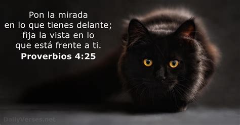 Proverbios Vers Culo De La Biblia Dailyverses Net