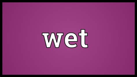 Wet Back Meaning And Implications