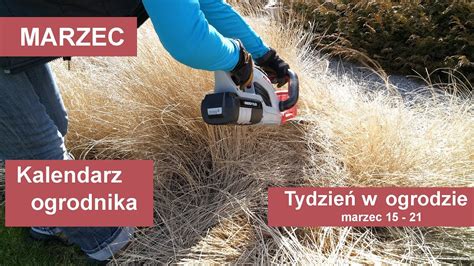 Marzec W Ogrodzie Kalendarz Ogrodnika Na Prace