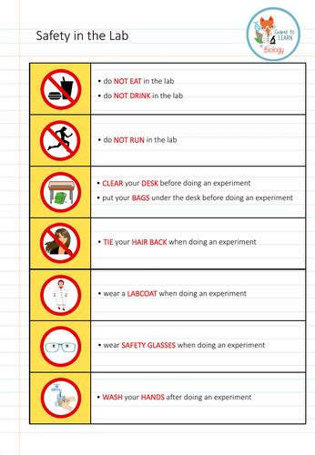 Lab Safety Rules Worksheet Ks2 3 4 5 Teaching Resources