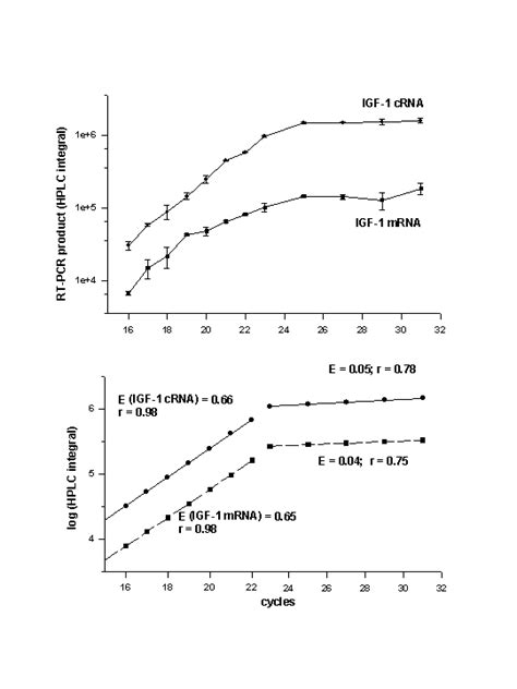 Bioinformatics Pcr Efficiency In Real Time Pcr