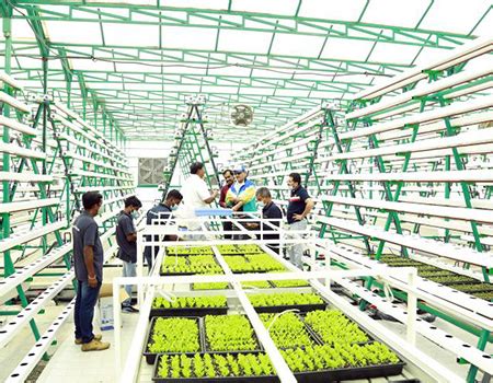 Commercial Hydroponic For Sale Design Production Installation Training