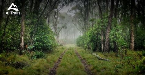 Best Trails In Barrington Tops National Park New South Wales