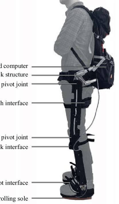 Experimental Setup A Passive Exoskeleton CAPTUR Was Used To Prevent