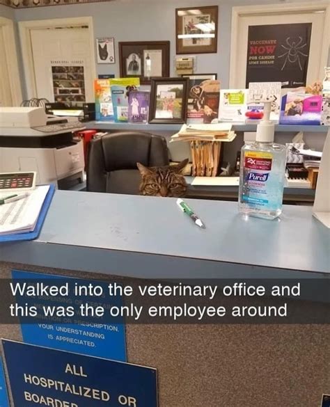 The best Veterinarian memes :) Memedroid