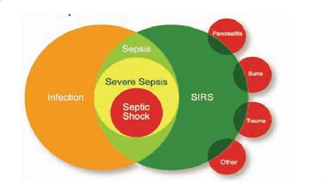 Sepsis Severe Sepsis Septic Shock