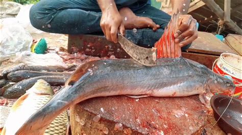 Amezing Giant Ayer Fish Cutting In Bangladesh Amazing Fish Cutting