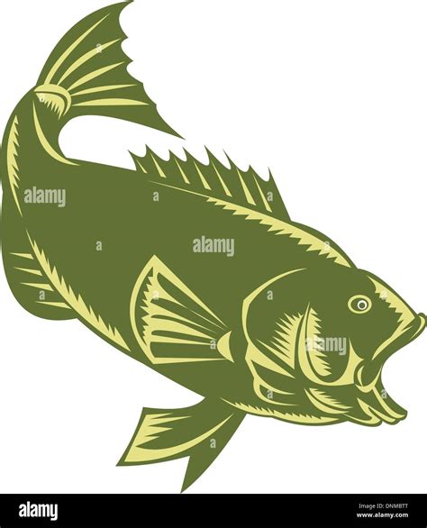 Illustration Of A Largemouth Bass Woodcut Style Stock Vector Image