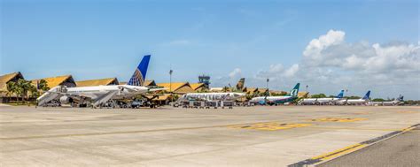 Aeropuerto Internacional De Punta Cana Reanuda Operaciones