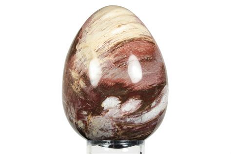 Colorful Polished Petrified Wood Egg Madagascar For