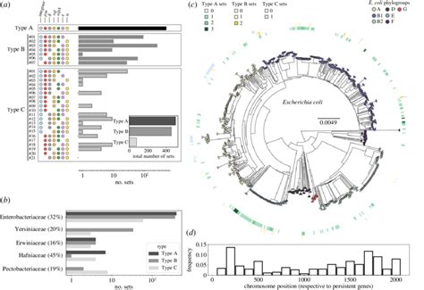 The Abundance Genetic Composition And Bacterial Hosts Of P4 Like