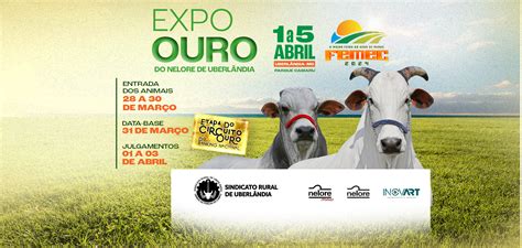 Femec A Maior Feira Do Agro De Minas