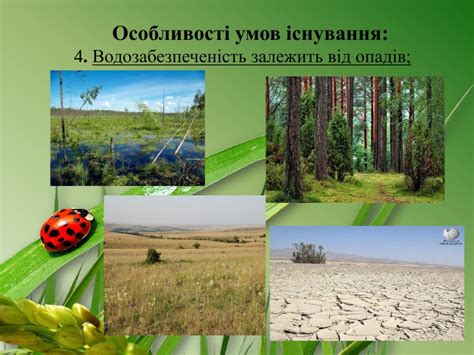 Презентація "Наземно-повітряне середовище існування"