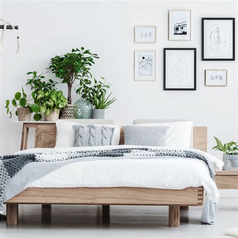 6 Incredible Benefits of Bamboo Bedding