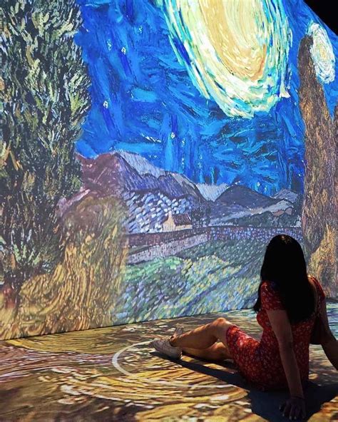 Immersive Van Gogh Exhibit Phoenix Insightfules