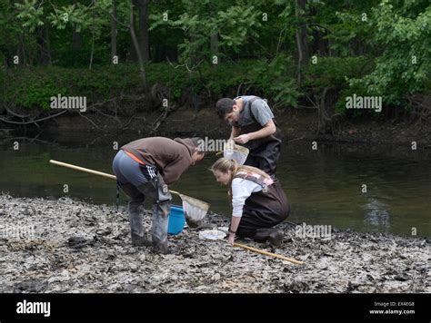 High School Students Checking Nets For Aquatic Indicators Of Water