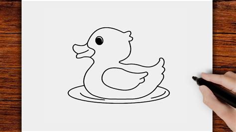 Comment Dessiner Un Canard Qui Nage Youtube