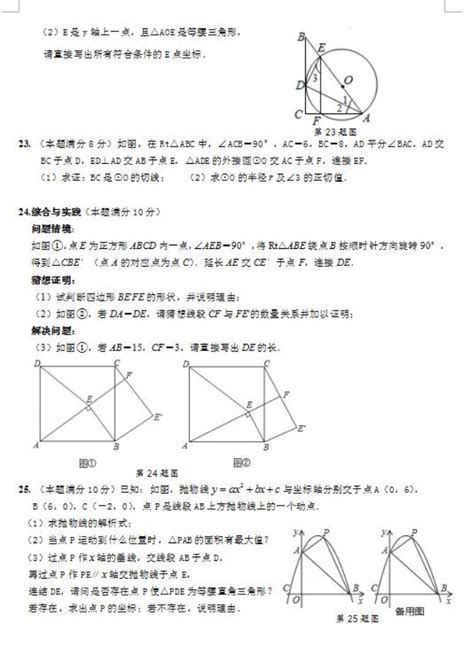 2024安徽中考数学压轴试题及答案初三网