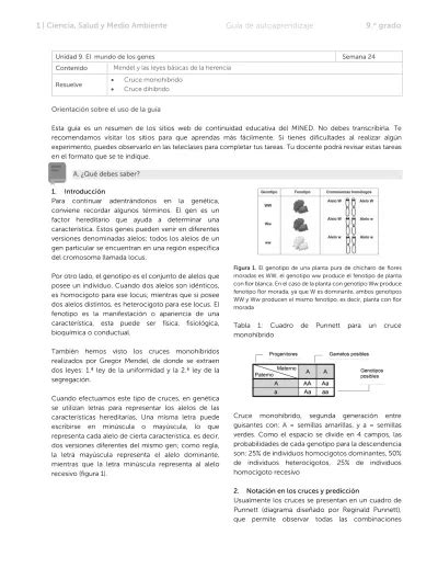 Ciencia Salud Y Medio Ambiente Gu A De Autoaprendizaje O Grado