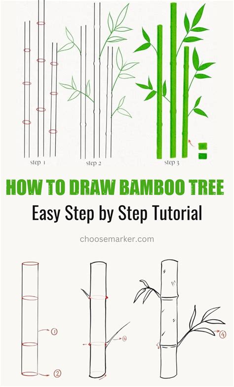 How To Draw Bamboo Step By Step Beginner Guide Daily Drawing Tutorial