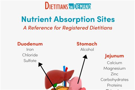 Infographics For Dietitians Dietitians On Demand