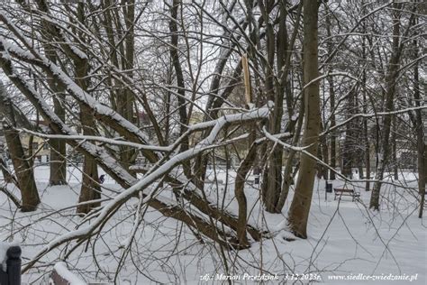 Informacje Fotograficzne Siedlce