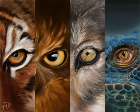 Animal Digital Art / Animal Painting Studies By Guilherme Asthma ...