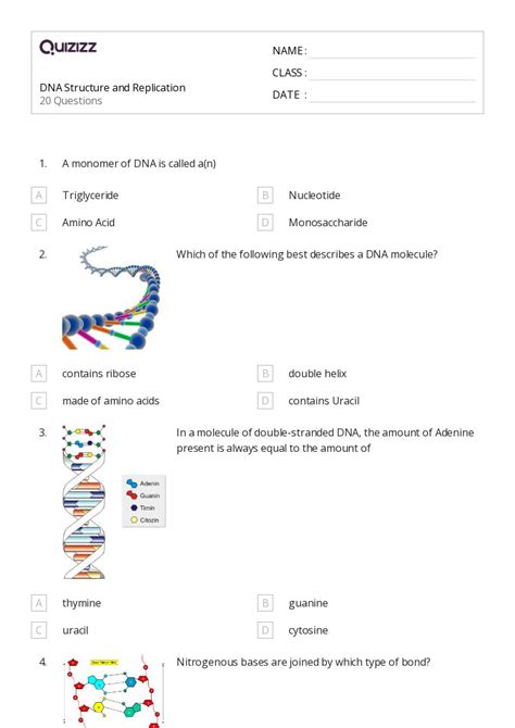 Dna Structure And Replication Worksheets On Quizizz Free Printable