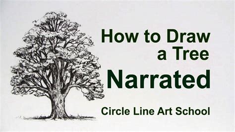 How To Draw A Tree Oak Tree Youtube