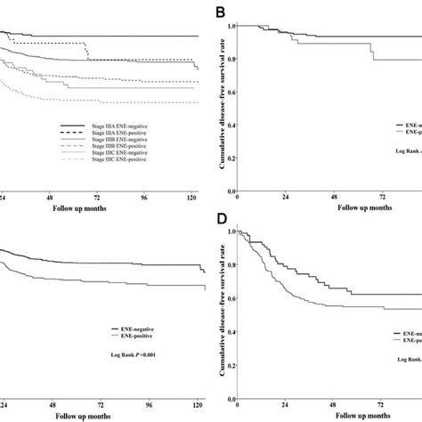 A Disease Free Survival Dfs Rates According To The Combination Of Download Scientific