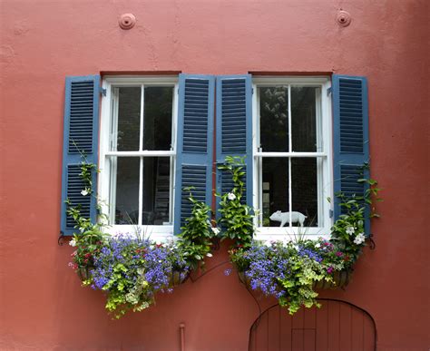 Flowering Window Box Ideas That Work For Sunny Gardens