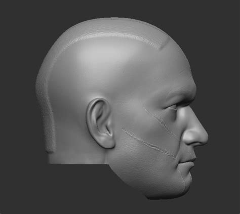 Hot Toys Style Clone Trooper Boost Head Sculpt D Model D Printable CGTrader