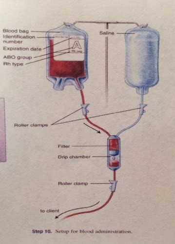 Ch 11 Blood Transfusions Flashcards Quizlet