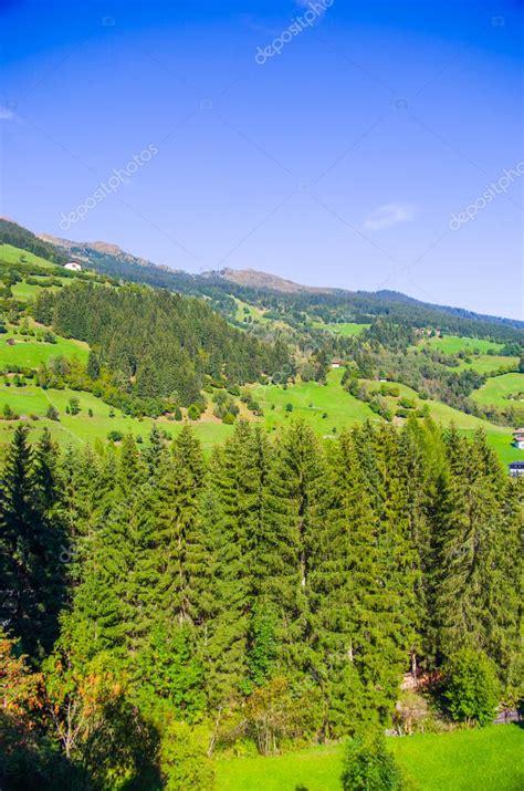 vegetación de montaña bosques verdes y exuberantes el pulmón de la