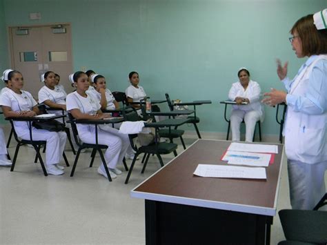 Perfil Profesional Estudiantes De Enfermeria Funciones De La