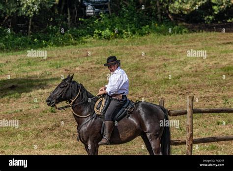 Horse Rider With Knife Scenes From A Rodeo And Equestrian Show