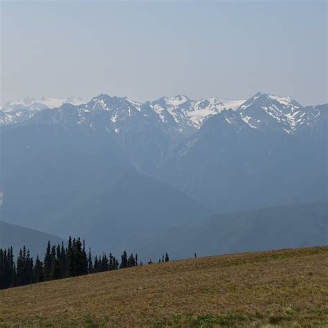 Mount Olympus Olympic National Park Alles Wat U Moet Weten Voordat