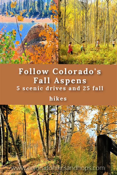 Discover The Best Hiking Trails Near Colorado Springs In Castlewood