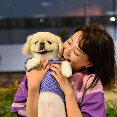 有田優理香さんのインスタグラム写真 有田優理香instagram「うちのちっちゃなサポーターくん🐶💜 注文したユニが届きましたーーー